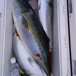 第二龍勢丸 釣果