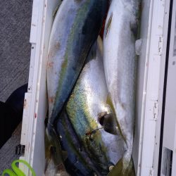 第二龍勢丸 釣果