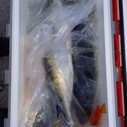 第二龍勢丸 釣果