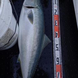 第二龍勢丸 釣果