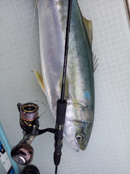 アマテラス 釣果