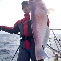 アマテラス 釣果