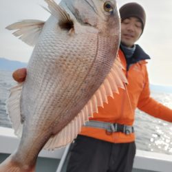 シーライオン 釣果