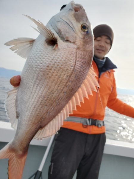 シーライオン 釣果