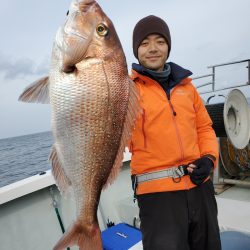 シーライオン 釣果