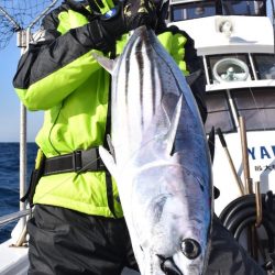 渡船屋たにぐち 釣果
