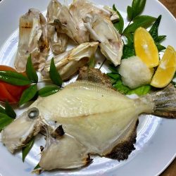 ブルースフィッシングサービス 釣果