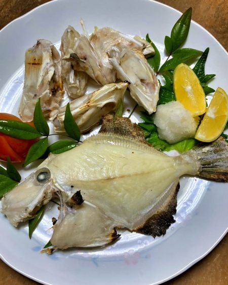 ブルースフィッシングサービス 釣果