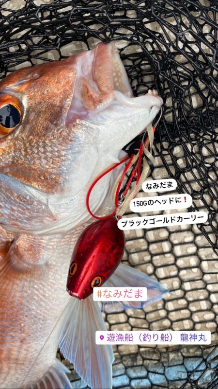 龍神丸(鹿児島) 釣果