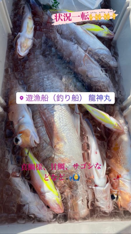 龍神丸(鹿児島) 釣果