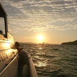 遊漁船　家入 釣果