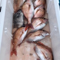 第二八坂丸 釣果