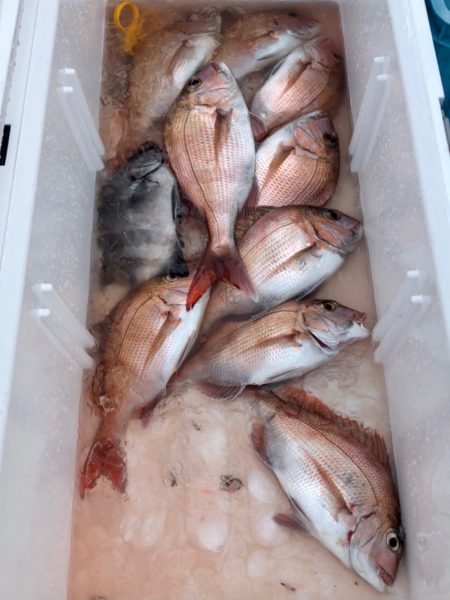 第二八坂丸 釣果