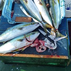 Big One ビッグワン 釣果