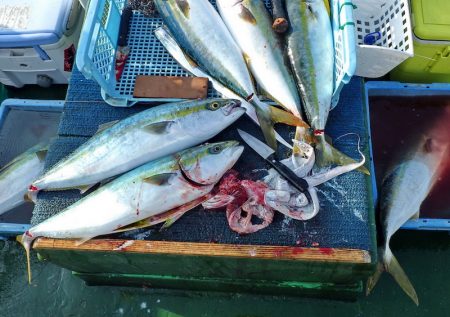 Big One　ビッグワン 釣果