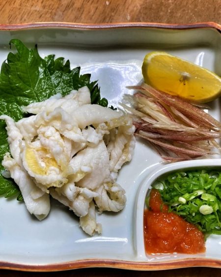 ブルースフィッシングサービス 釣果