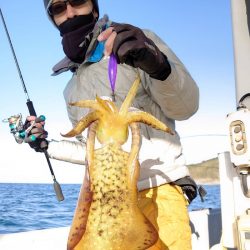 ブルースフィッシングサービス 釣果