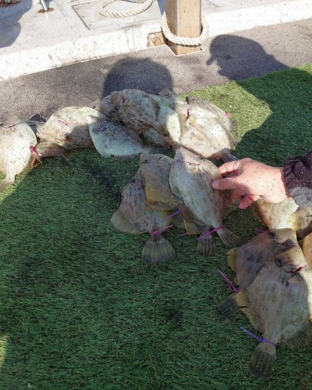 ブルースフィッシングサービス 釣果