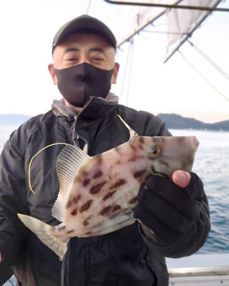 ブルースフィッシングサービス 釣果