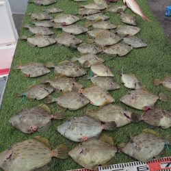 ブルースフィッシングサービス 釣果