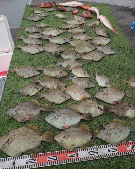 ブルースフィッシングサービス 釣果