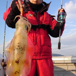 ブルースフィッシングサービス 釣果