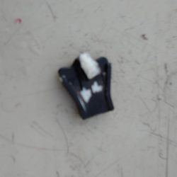 フィッシング キッタカ 釣果