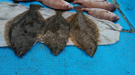 フィッシングガイド りょう 釣果