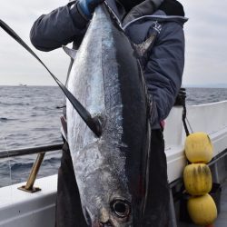 渡船屋たにぐち 釣果