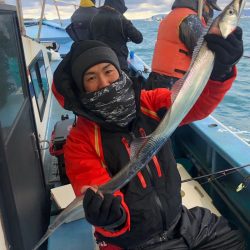 ヤザワ渡船 釣果