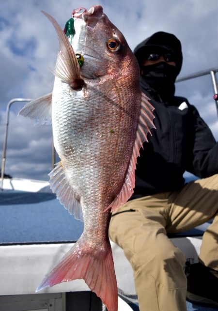 渡船屋たにぐち 釣果