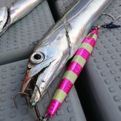 遊漁船　家入 釣果