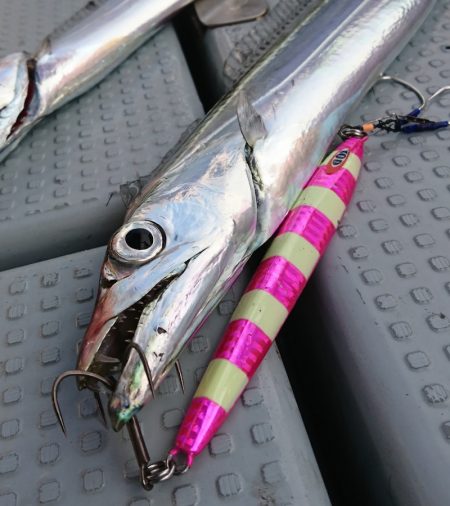 遊漁船　家入 釣果