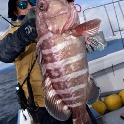 渡船屋たにぐち 釣果