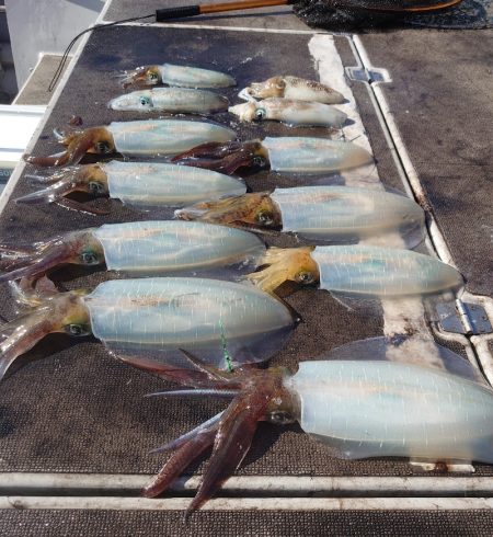 ブルースフィッシングサービス 釣果