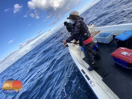 幕島丸 釣果