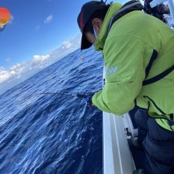 幕島丸 釣果