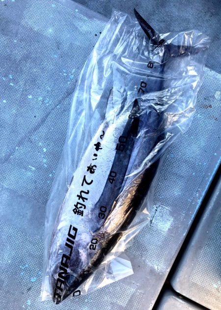 渡船屋たにぐち 釣果