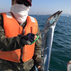 ヤザワ渡船 釣果