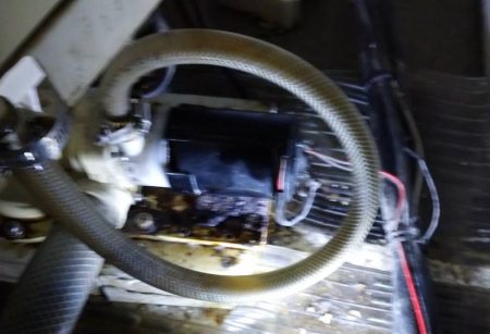 フィッシング キッタカ 釣果