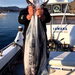 渡船屋たにぐち 釣果