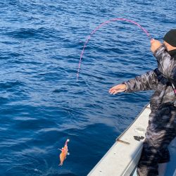 あみや渡船 JIGBOY 釣果
