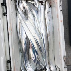 フィッシング キッタカ 釣果