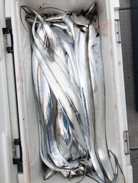 フィッシング キッタカ 釣果