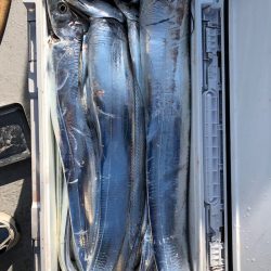 フィッシング　キッタカ 釣果