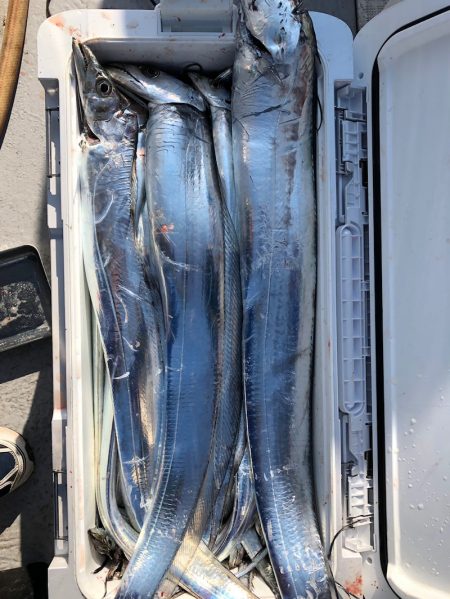 フィッシング　キッタカ 釣果