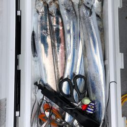 フィッシング　キッタカ 釣果