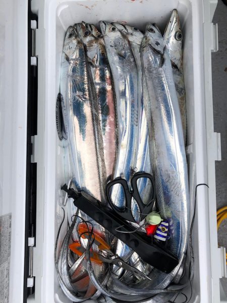 フィッシング　キッタカ 釣果