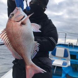 太平丸 釣果