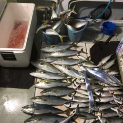 エムズジャーク(M’s JERK) 釣果